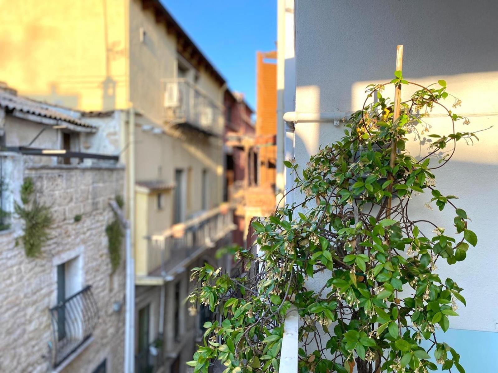 Altrelli Rooms Corato Dış mekan fotoğraf